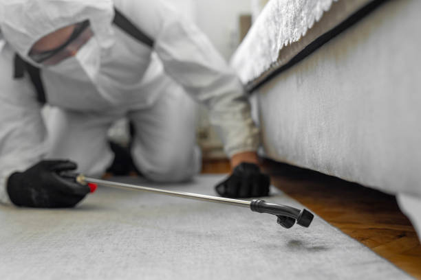 Professional Bed Bug Control technician working in Wellman, IA