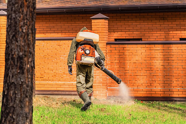 Trusted Cockroach Control service in Wellman, IA - Nex Pest Control